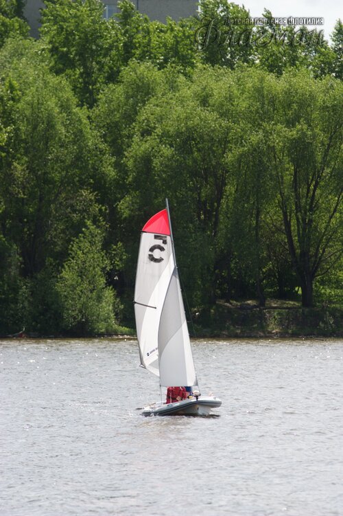 CRW_9684_r